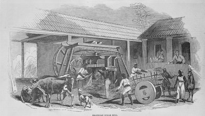 Die Zuckerfabrik, ca. 1835 von Johann Moritz Rugendas